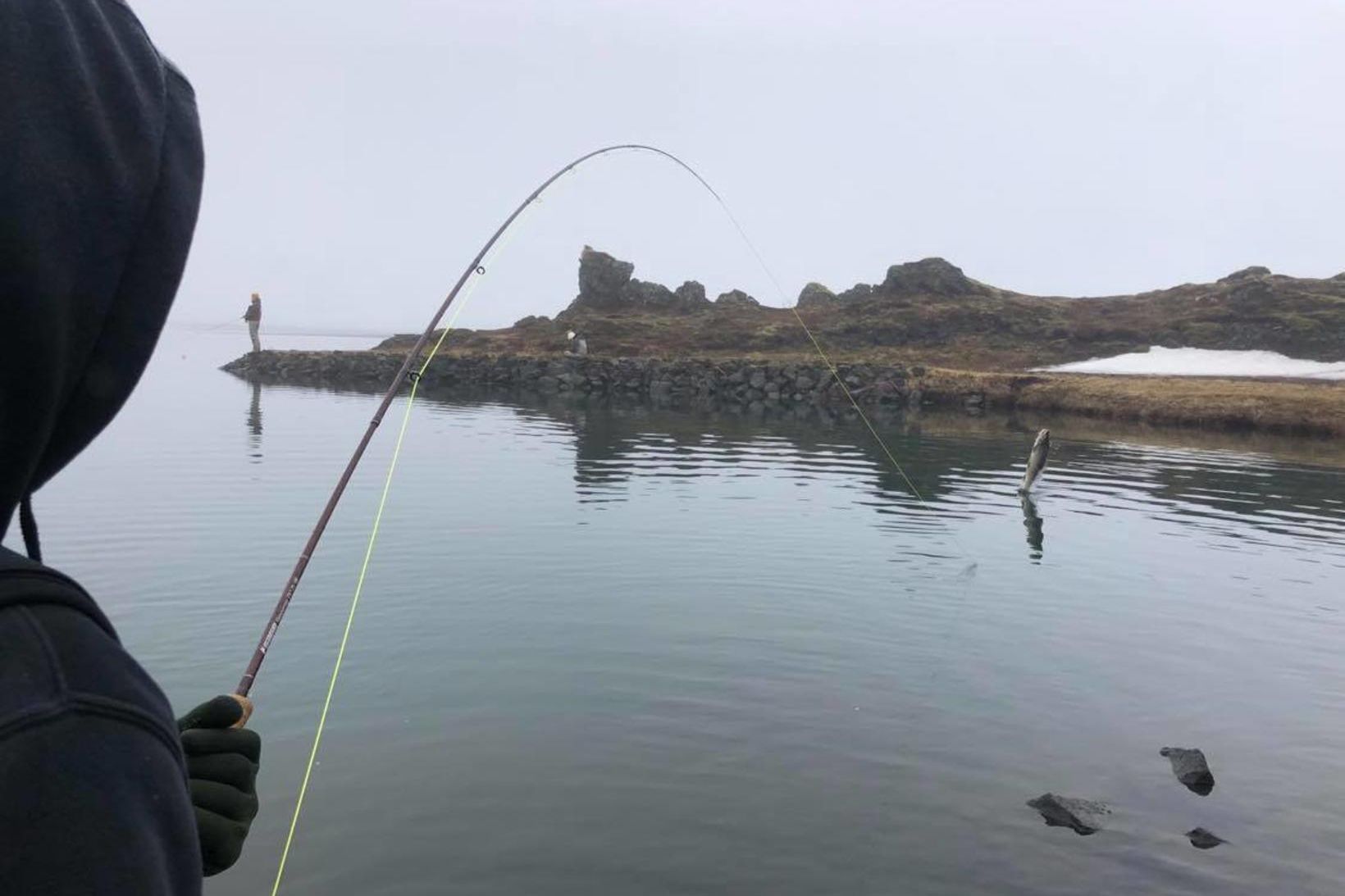 Hér tókst Tedda leiðsögumanni að frysta skemmtilegt augnablik. Þetta er …