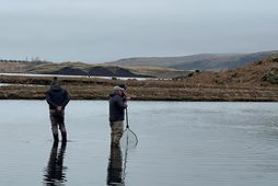 Hann er á í Tungulæk, fyrr í mánuðinum. Breskir veiðimenn gerðu mikla veiði eins og …