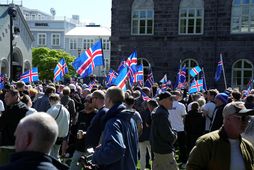 Mótmælendur á Austurvelli