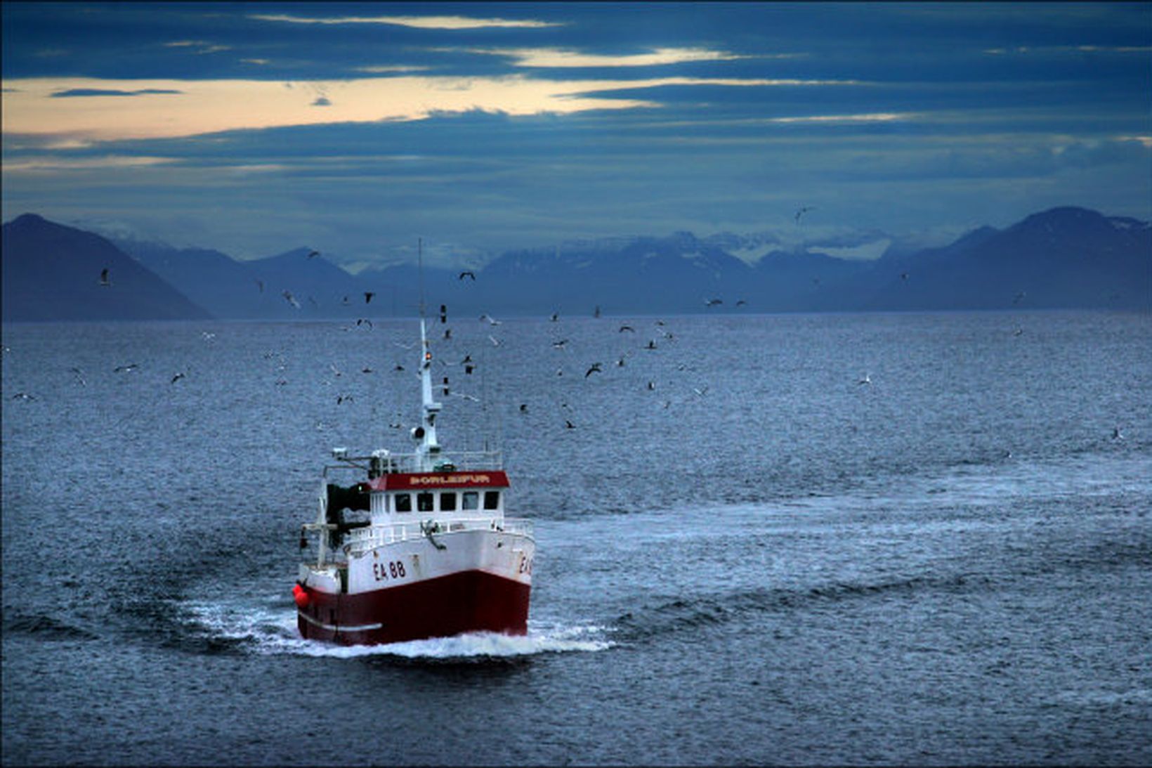 Flutningur Fiskistofu snertir um helming starfsfólksins.