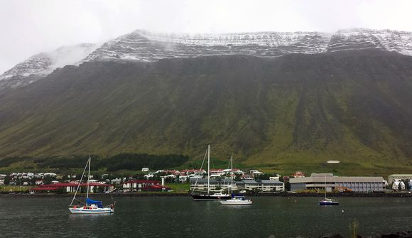 Vilja mastur á Vestfirði