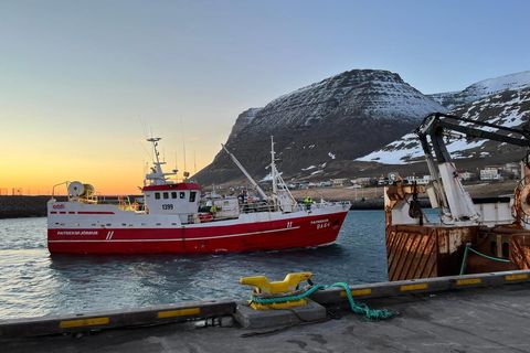 HEildarafli íslenskra fiskiskipa var 22% minni á síðasta ári en árið 2021.