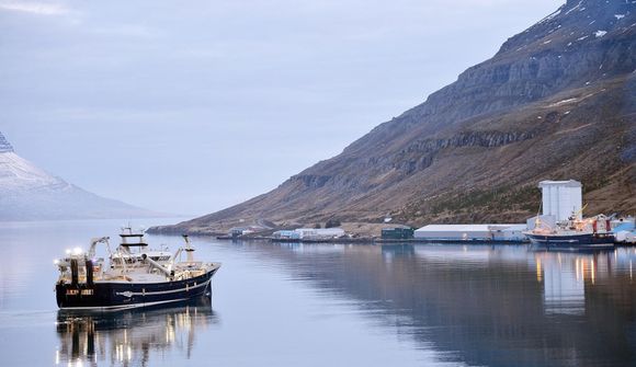 Styttist í 10 þúsund tonnin á Seyðisfirði