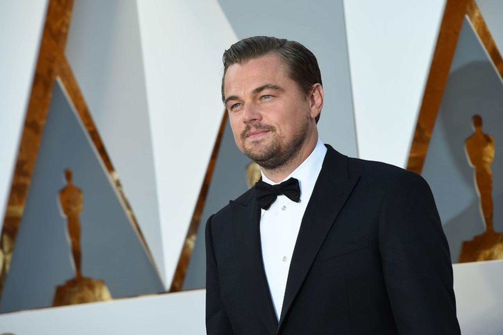Leonardo DiCaprio er enn og aftur kominn á markaðinn.