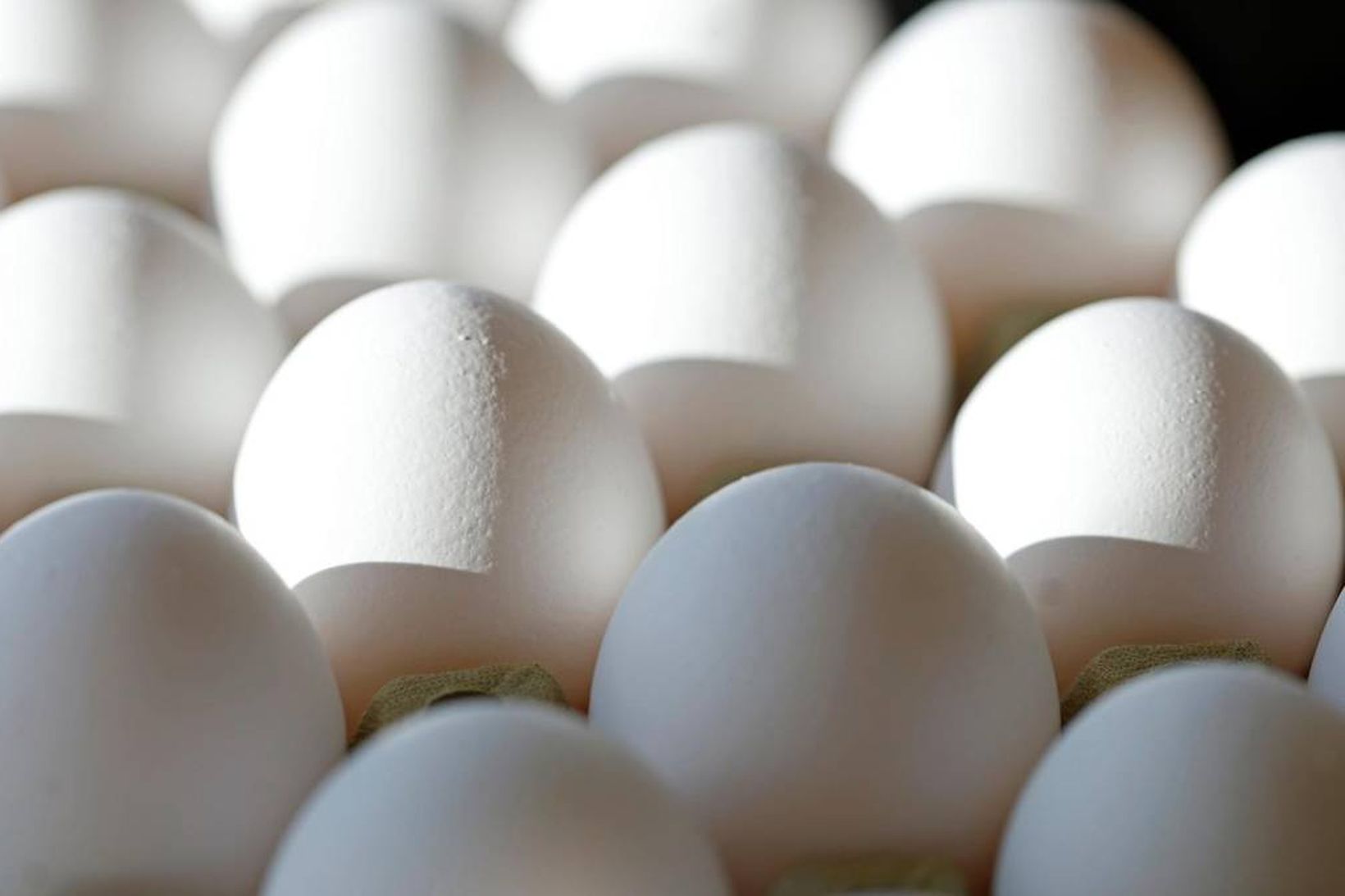 Varphænum fjölgar á Kjalarnesi