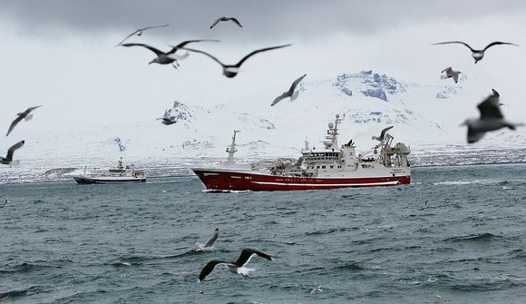 Loðnukvótar fara til erlendra skipa