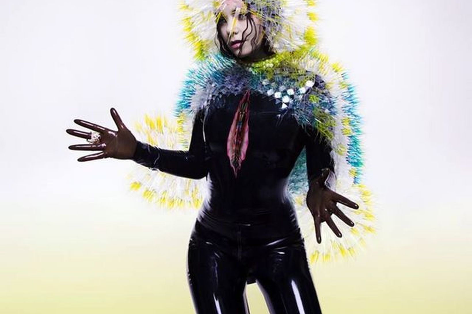 Björk Guðmundsdóttir gerir upp skilnaðinn á nýjustu plötu sinni Vulnicura.