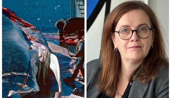 „Vægi 75 ára úreltra hvalveiðilaga“ metið þyngra