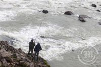 Urriðafoss laxveiði