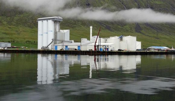 Uppsjávarsmiðja skili auknum verðmætum