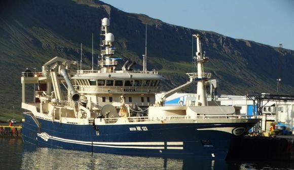 Fyrsti makríllinn úr íslenskri lögsögu