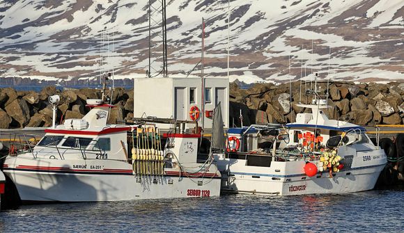 Grásleppuveiðum flýtt og hefjast á föstudag