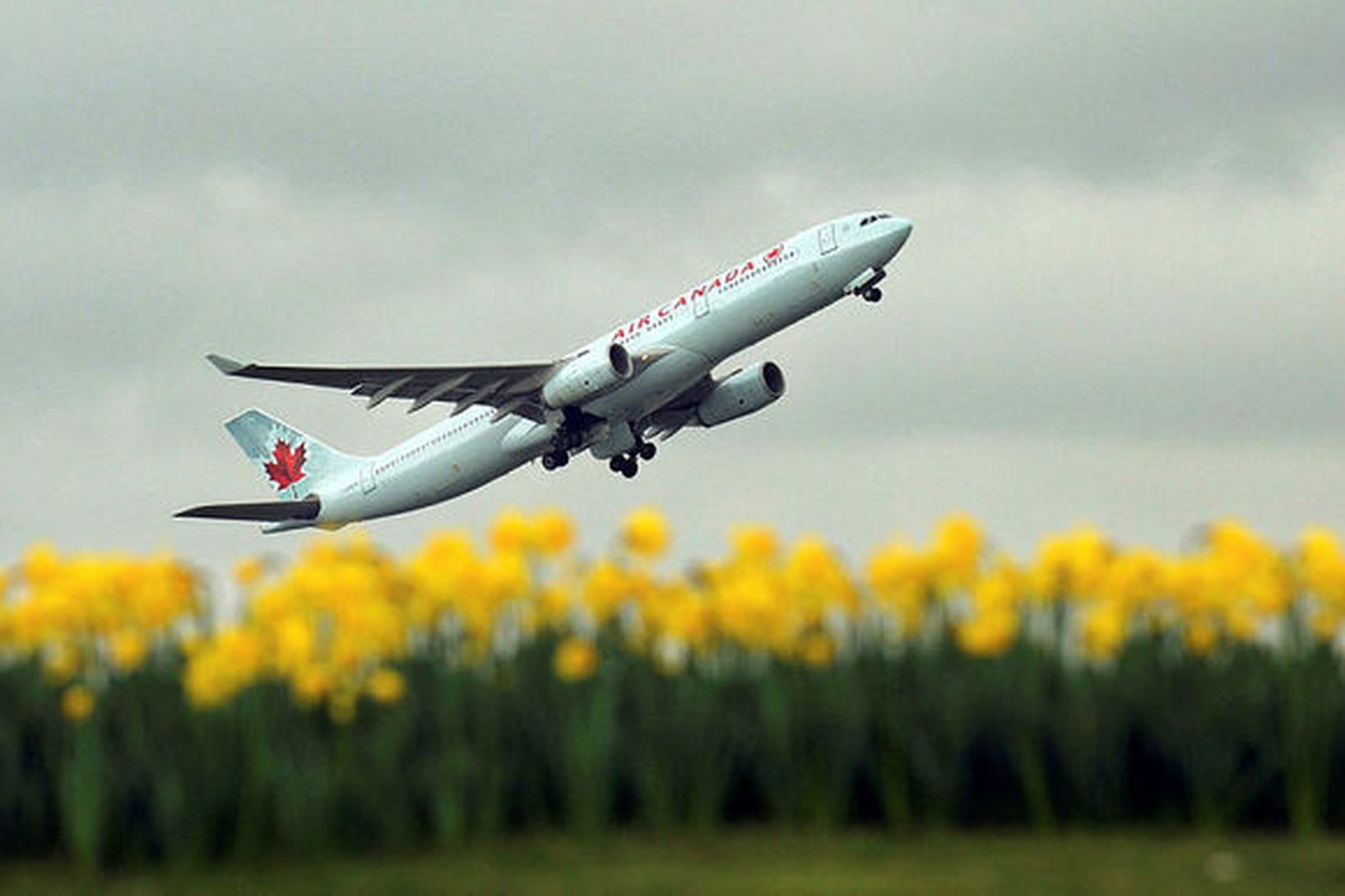 Farþegaþota frá kanadíska flugfélaginu Air Canada. Mynd úr safni.