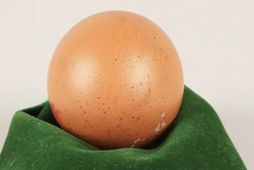 Egg, sem eru nánast algjörlega kúlulaga, eru afar sjaldgæf fyrirbæri.