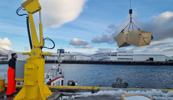 „Það þarf að gefa kvótasetningunni séns“