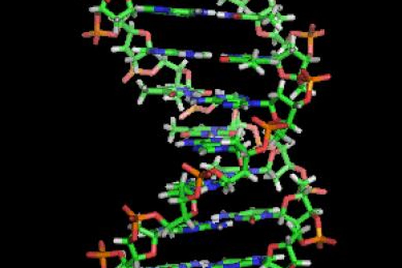 Teikning af hluta DNA keðju.