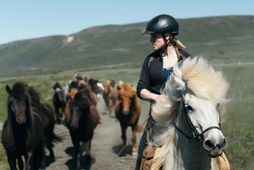 Anna Guðný Baldursdóttir ætlar taka þátt í Mongol Derby, sem er lengsta og erfiðasta kappreiðarkeppni …