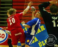 Haukar - Stjarnan 29:23