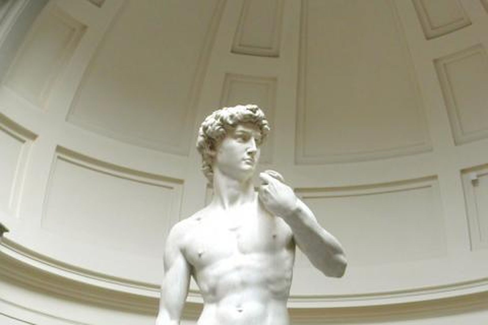 Michelangelo skapaði David á árunum 1501-1504