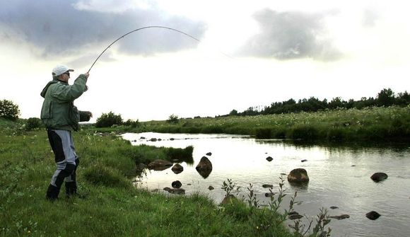 Áhyggjur af erfðamengun laxa