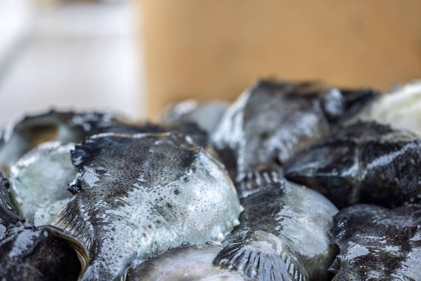 &bdquo;Veiðarnar eru orðnar óskaplega óhagkvæmar&ldquo;