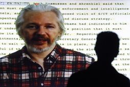Julian Assange, stofnandi Wikileaks, hefur hafst við í sendiráði Evkadors í London í tvö ár.