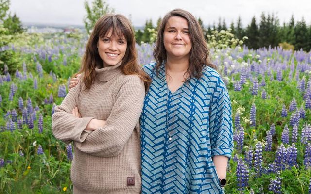 Skrifarar miðaldahandritanna krotuðu á spássíurnar og kvörtuðu yfir persónulegum vandræðum.