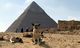 Stray dogs in Giza become tourist draw after 'pyramid puppy' sensation