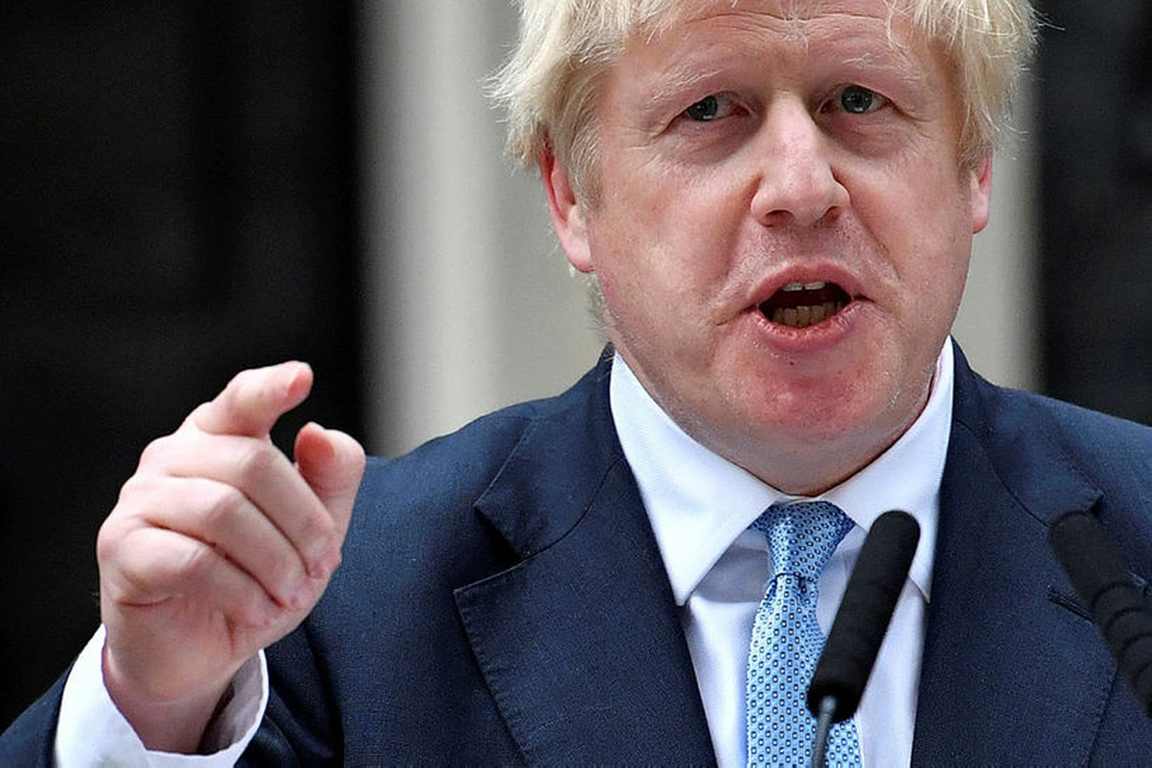Boris Johnson forsætisráðherra Bretlands er kominn með hund.