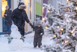 Einar telur að árshitinn í Reykjavík endi trúlega í 4,3 gráðum.