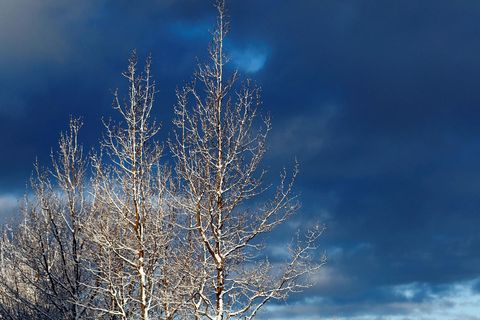 There could be increasing cold weather this week and peak later in the week.
