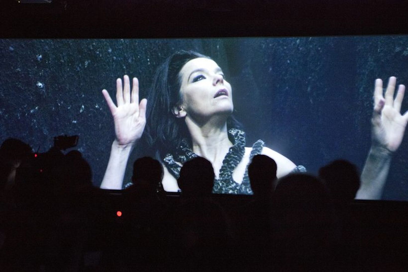Frá sýningunni um Björk í MoMA, Museum of Modern Art …