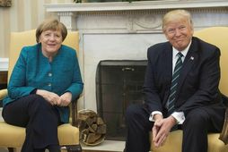 Angela Merkel og Donald Trump funda í fyrsta sinn á skrifstofu Trumps í Hvíta húsinu …