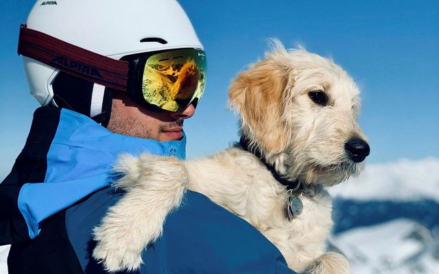 Innbruck í Austurríki er vinsæll útivistarbær. Hér má skíðamann með hund uppi í fjalli.