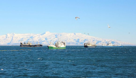 Náðu 65 þúsund tonnum á tíu dögum