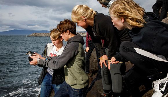 Björguðu lundapysju í Vesturbænum