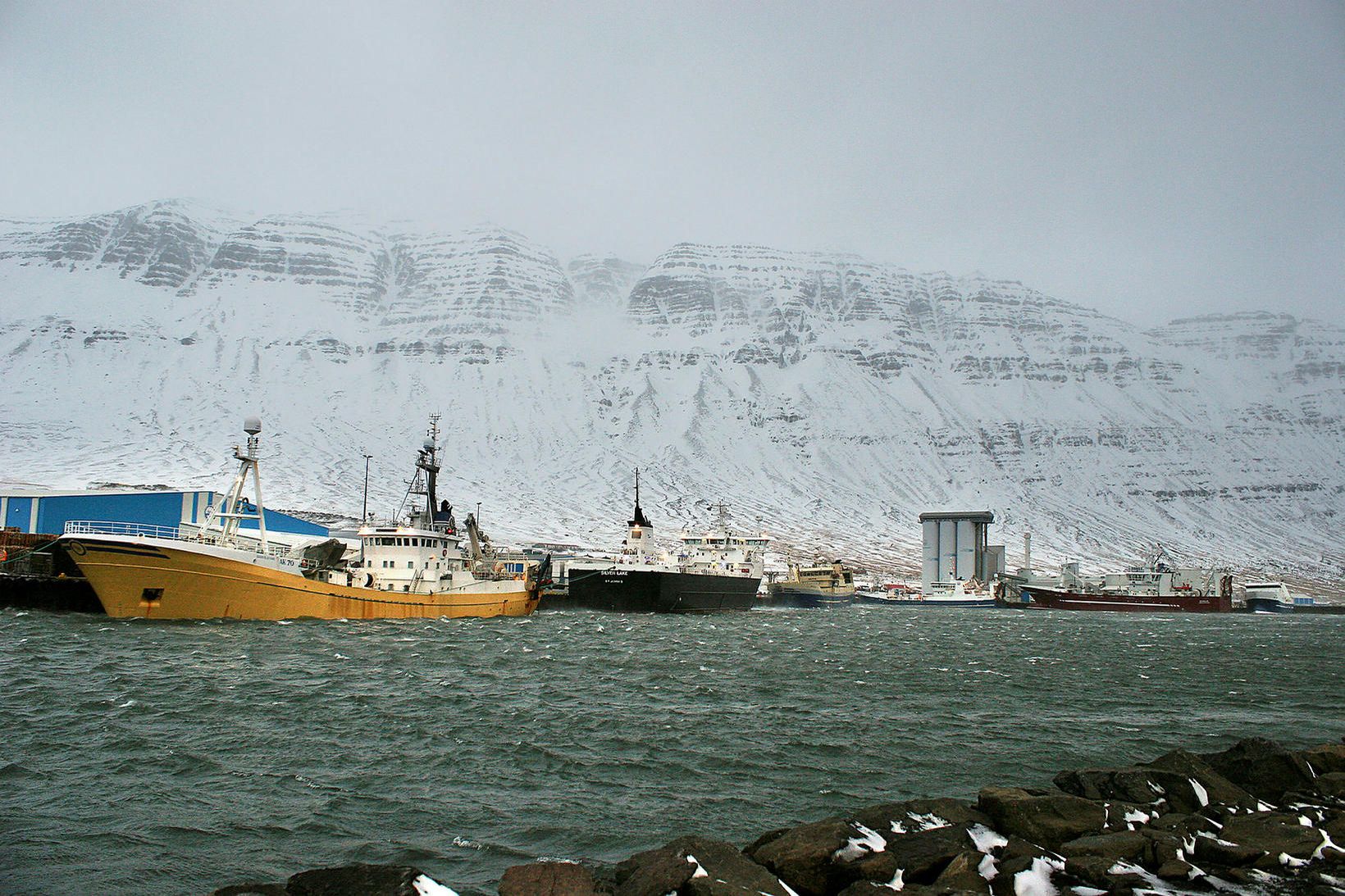 Frá Norðfjarðarhöfn við Neskaupstað.