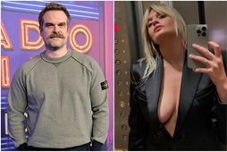 David Harbour og Ellie Fallon eru sögð vera par.