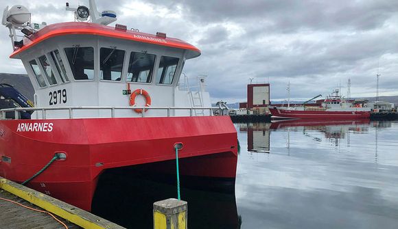 Fyrstu seiðin í sjó í Patreksfirði