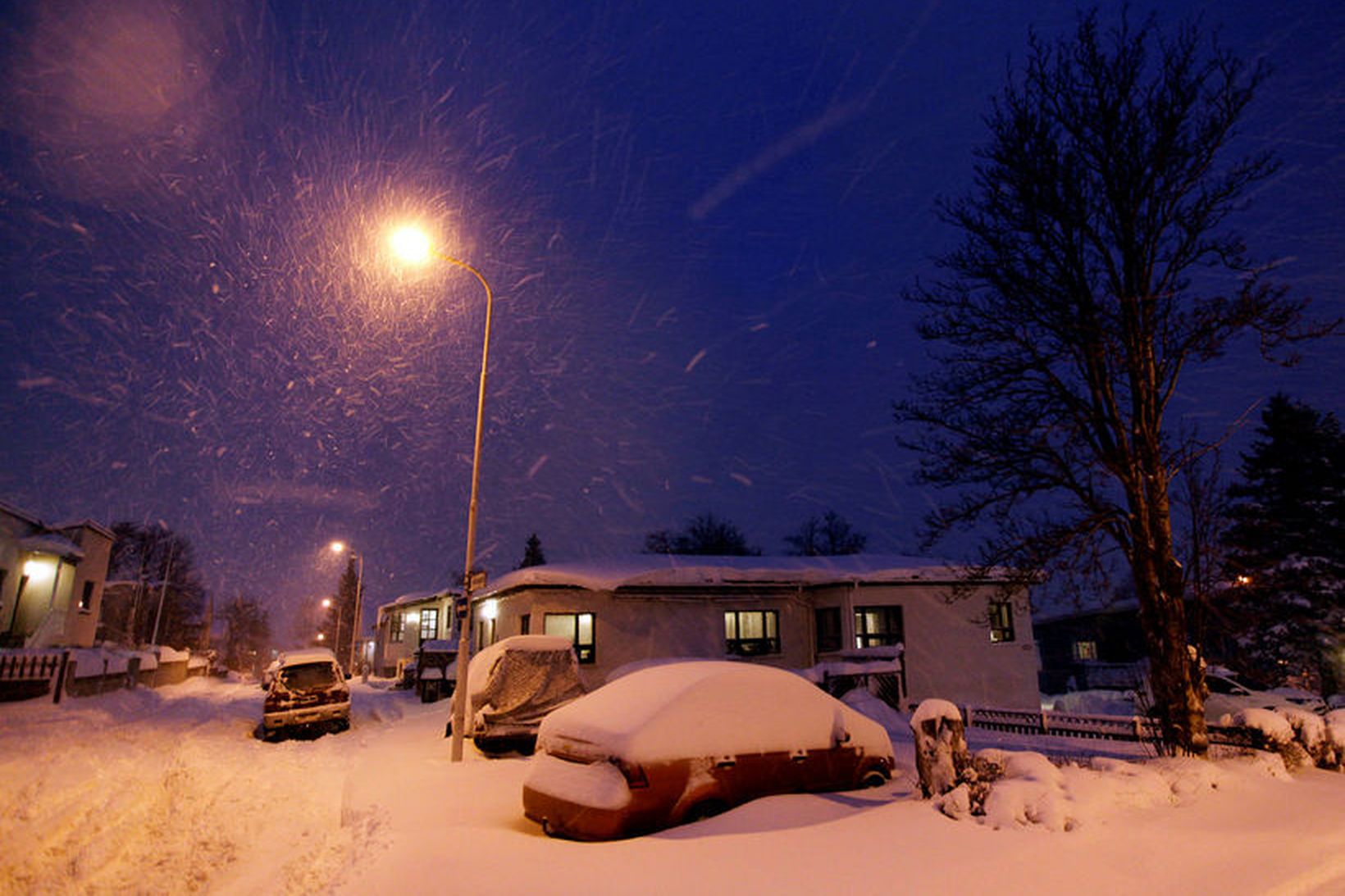 Mynd úr safni, tekin fyrir ári á Akureyri.