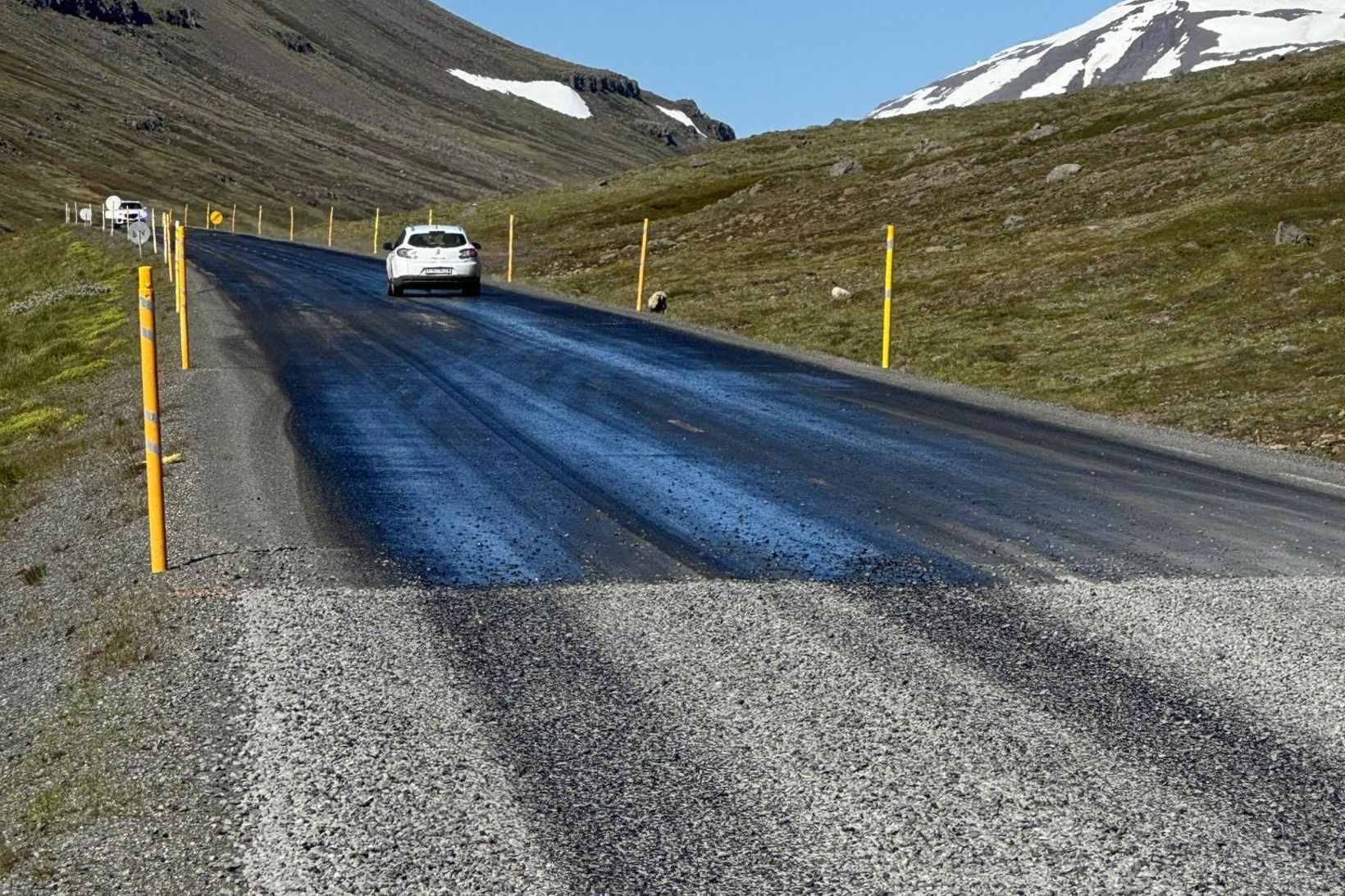 Vegagerðin hvetur ökumenn að draga úr hraða. Mynd úr safni.