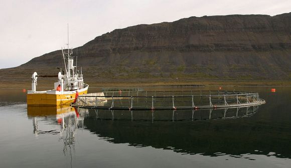 Brýtur ekki í bága við lög eða skuldbindingar