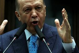 Erdogan Tyrklandsforseti er ekki sammála því að það falli undir tjáningafrelsi að kveikja í kóraninum.