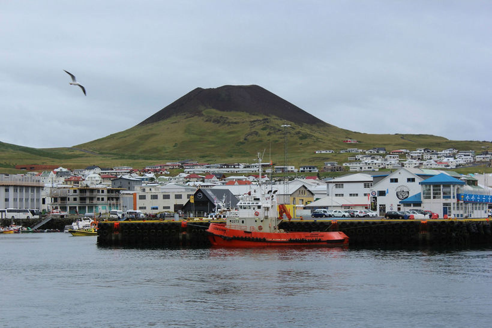 Maður­ á þrítugsaldri var hand­tek­inn laug­ar­dag­inn 17. sept­em­ber 2016, grunaður …