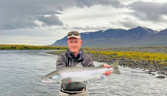 Fullkominn dagur byrjar í veiði