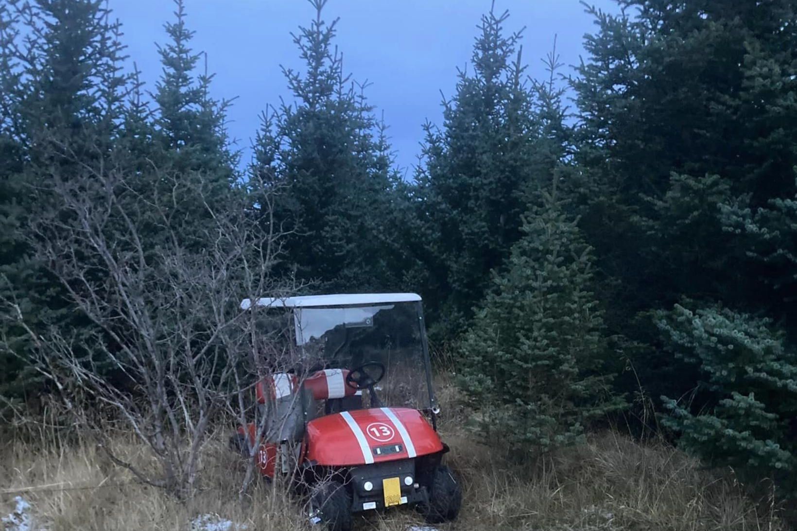 Golfbíll Sigurðar fannst í Skóglendi í Mosfellsdal.