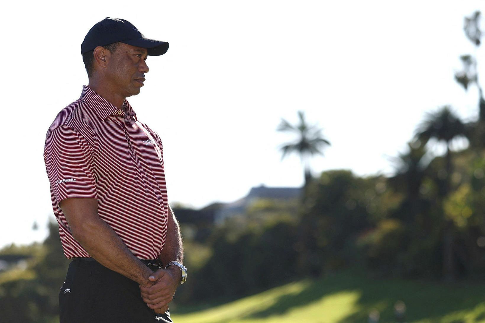 Tiger handtekinn og í fangageymslu