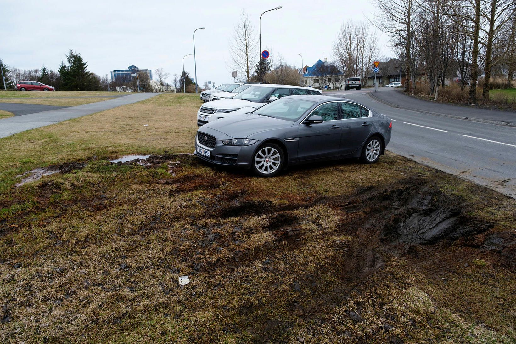 Grasblettirnir bera merki um lögbrotin í Laugardalnum.