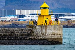 Við Reykjavíkurhöfn.