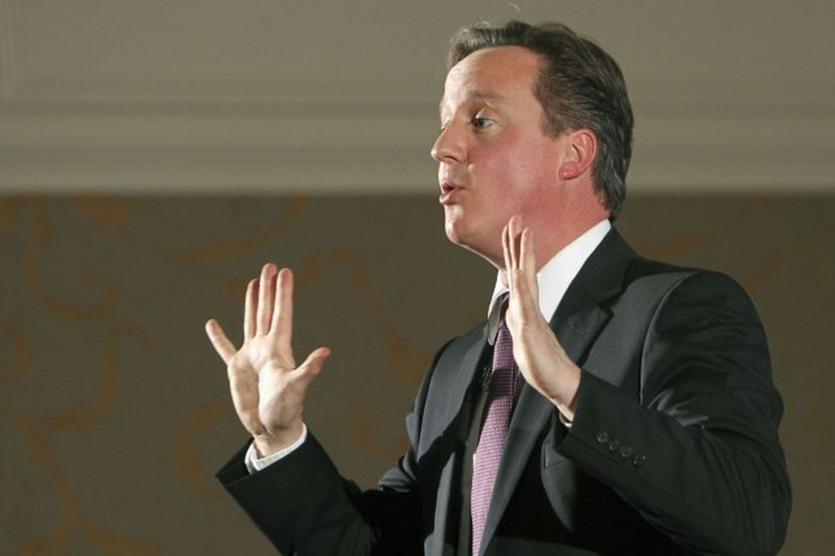 David Cameron, forsætisráðherra Bretlands.